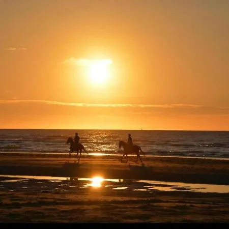 Pet-friendly Sea Escape Apartamento *