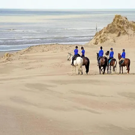 Pet-friendly Sea Escape * De Haan