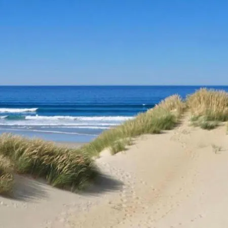 Pet-friendly Sea Escape De Haan